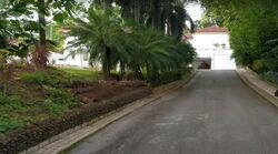 Nassim Road (D10), Detached #468511291